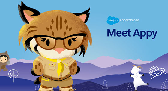 Salesforce AppExchange